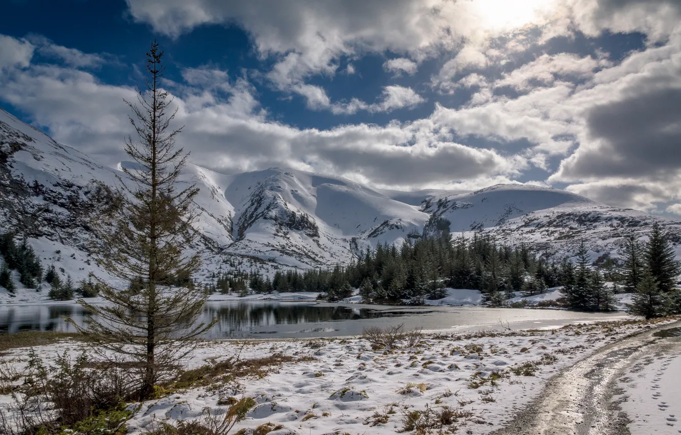 Photo wallpaper winter, forest, the sky, snow, trees, mountains, nature, river
