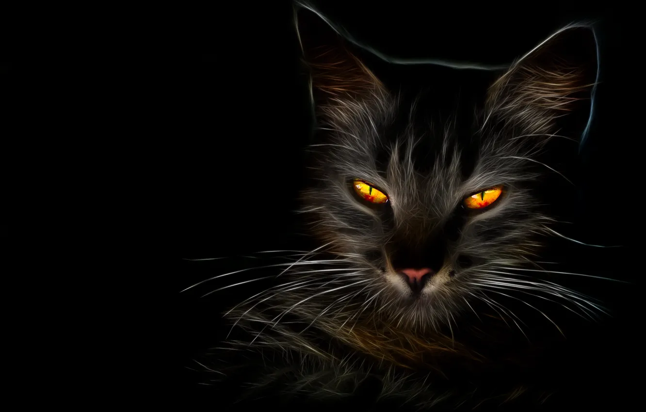Photo wallpaper eyes, cat, mustache, face, black, art, black background
