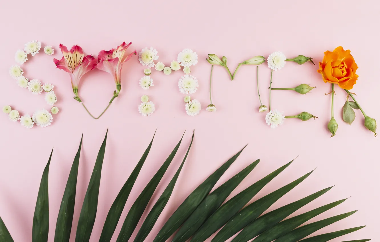 Photo wallpaper summer, leaves, flowers, background, summer, pink, pink, flowers