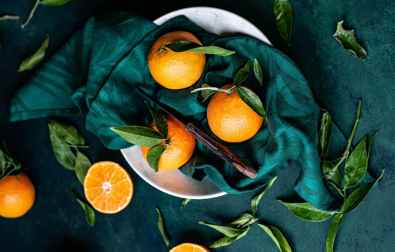 Photo wallpaper leaves, the dark background, orange, plate, knife, fabric, fruit, tangerines