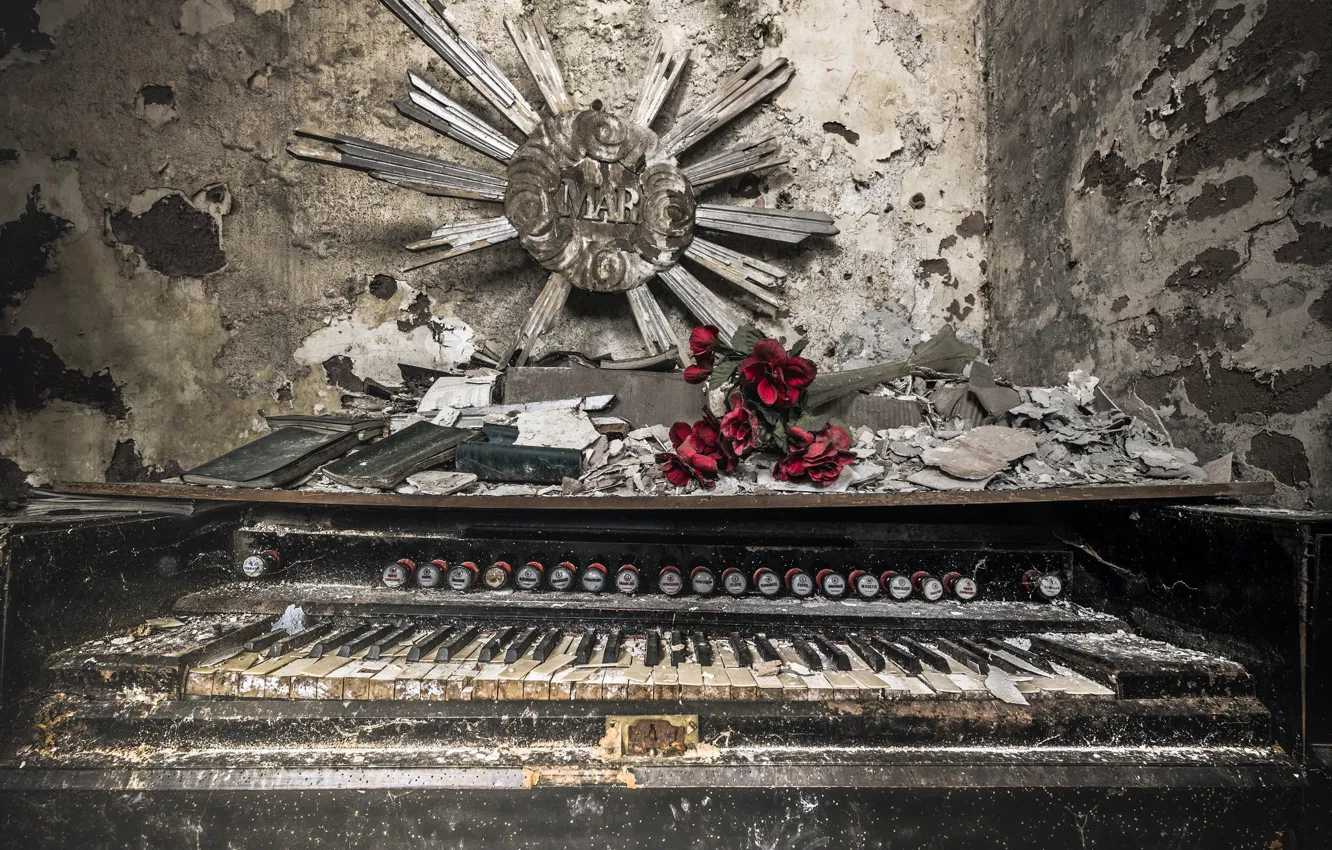 Photo wallpaper flowers, background, body