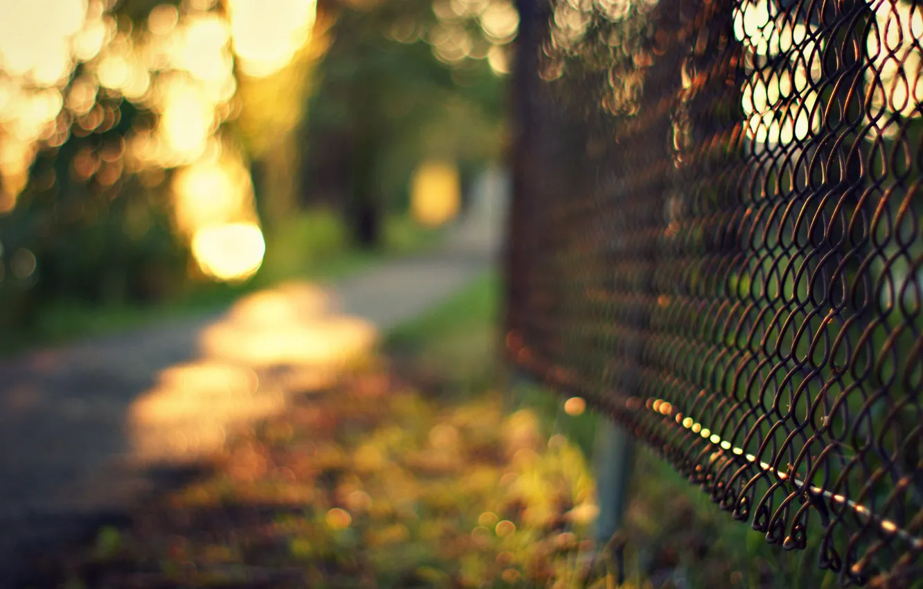 Photo wallpaper grass, trees, mesh, the fence, the evening, fence, blur, metal
