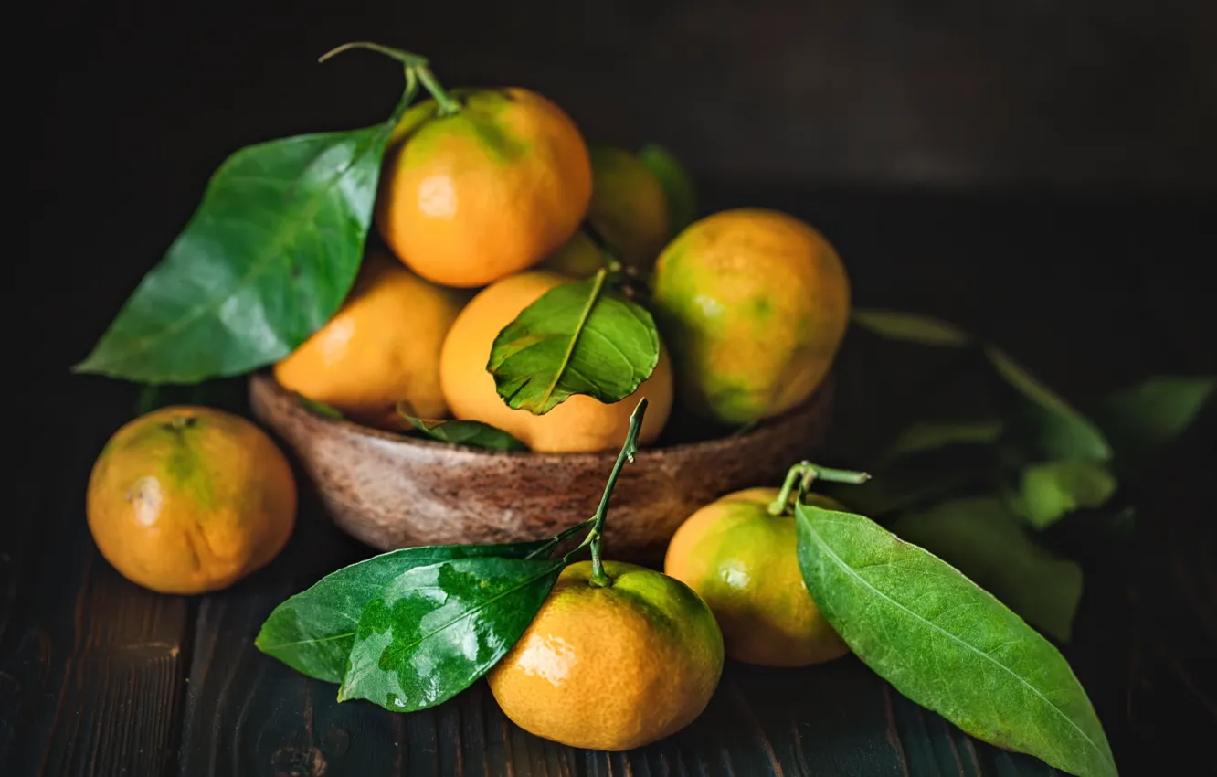 Photo wallpaper table, citrus, bowl, tangerines