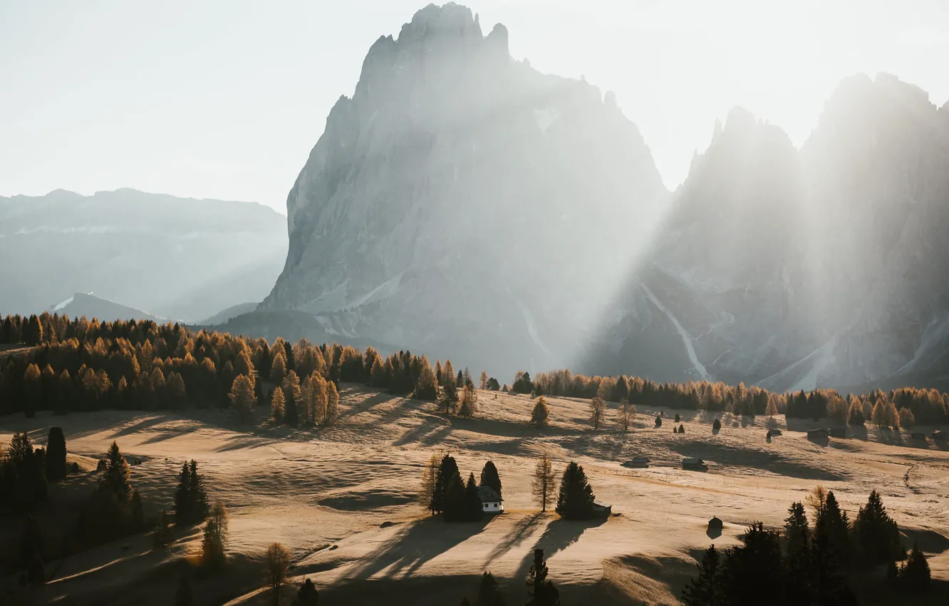 Photo wallpaper morning, rays, mountains, trees, dawn, sand, the sun
