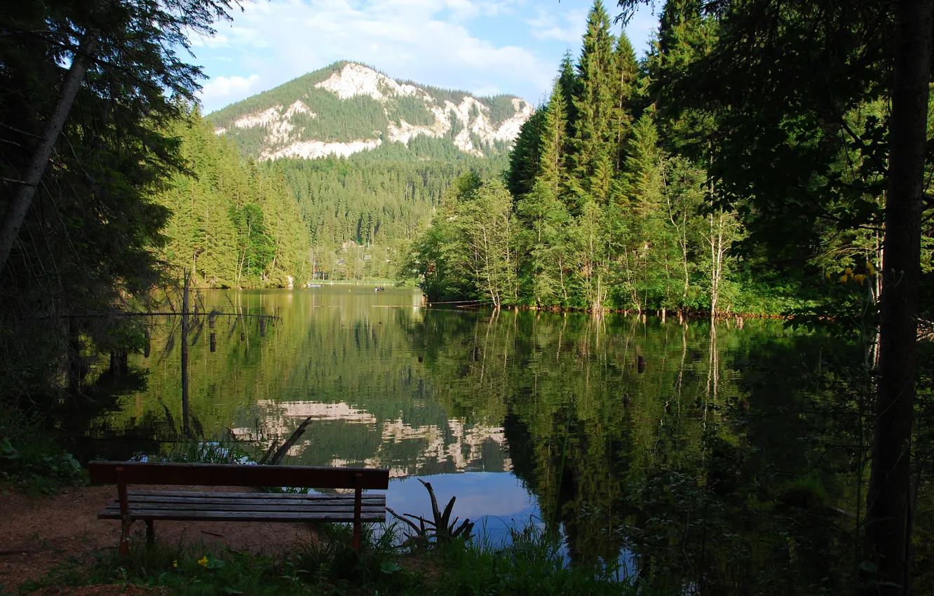 Photo wallpaper forest, mountains, bench, lake