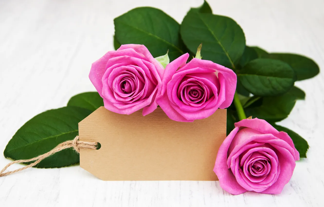 Photo wallpaper roses, bouquet, wood, pink, Rozovye, Olena Rudo