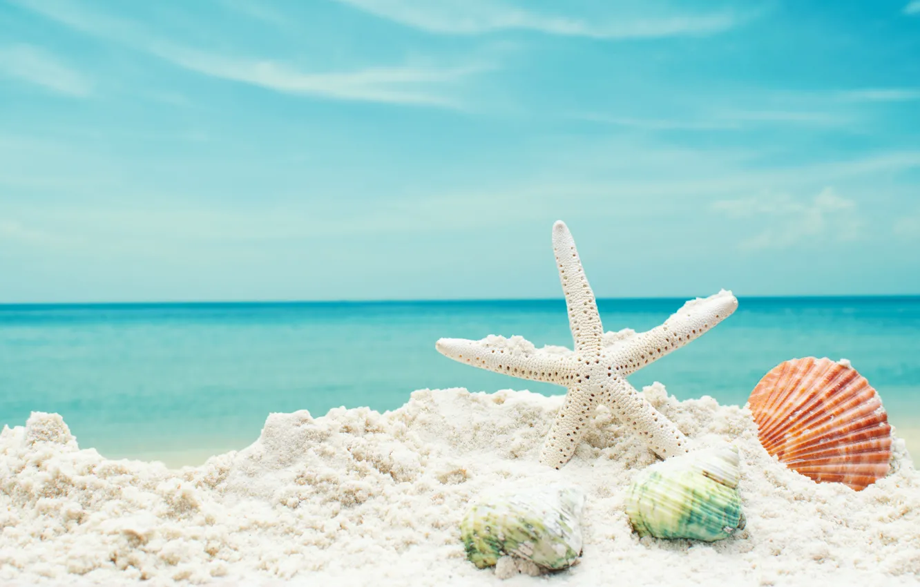 Photo wallpaper sand, sea, beach, star, shell, summer, beach, sea