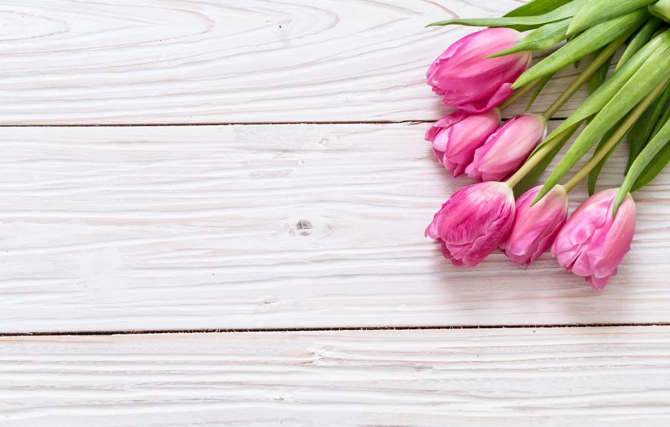 Photo wallpaper flowers, tulips, pink, fresh, wood, pink, flowers, tulips