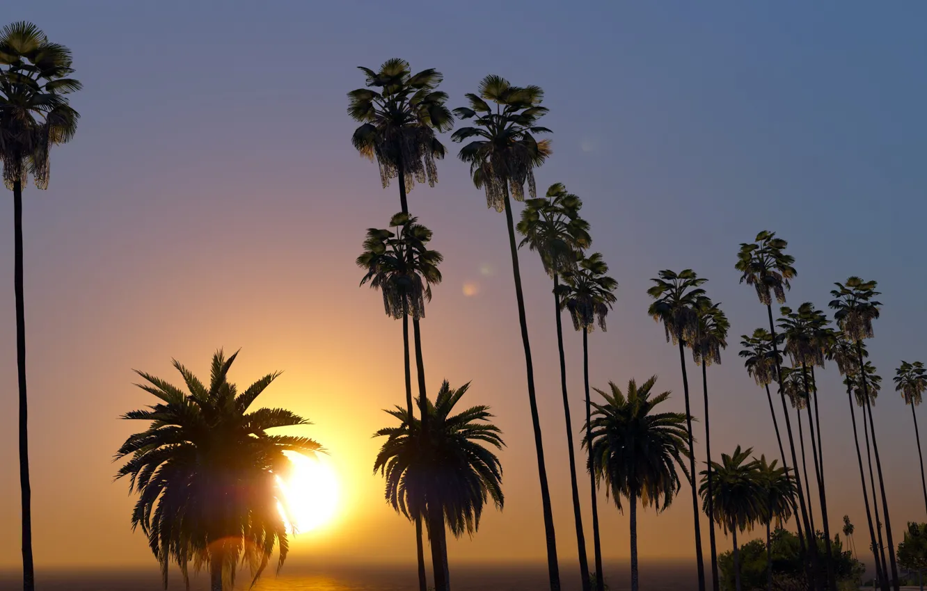 Photo wallpaper summer, the sun, sunset, palm trees