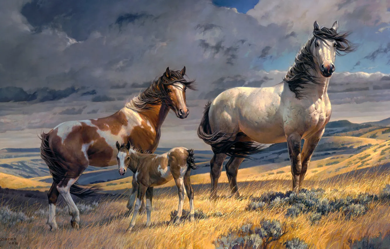 Photo wallpaper field, clouds, the wind, hills, figure, horses, picture, horse