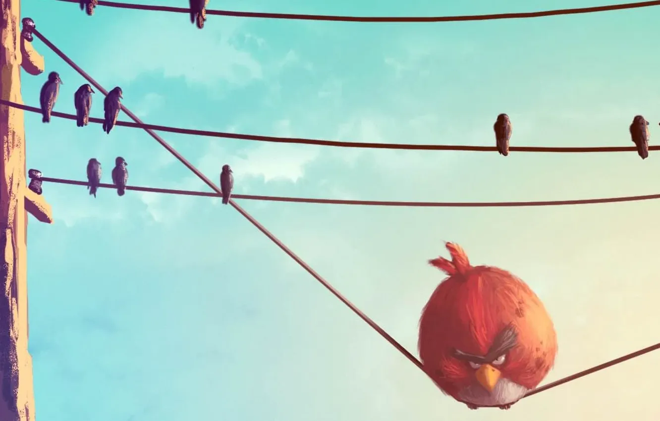 Photo wallpaper red, bird, wire, Angry Birds, Angry Birds