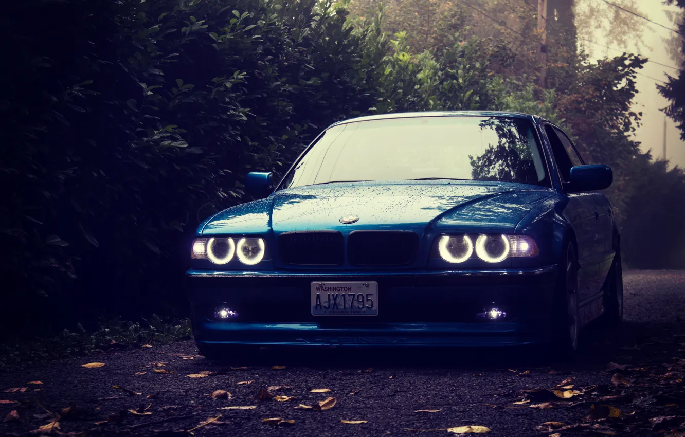 Photo wallpaper forest, lights, tuning, BMW, stance, bmw e38, 750il