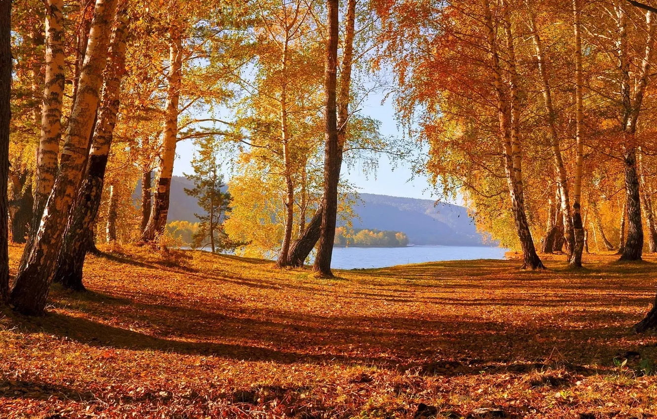 Photo wallpaper autumn, forest, the sky, trees, landscape, mountains, nature, lake