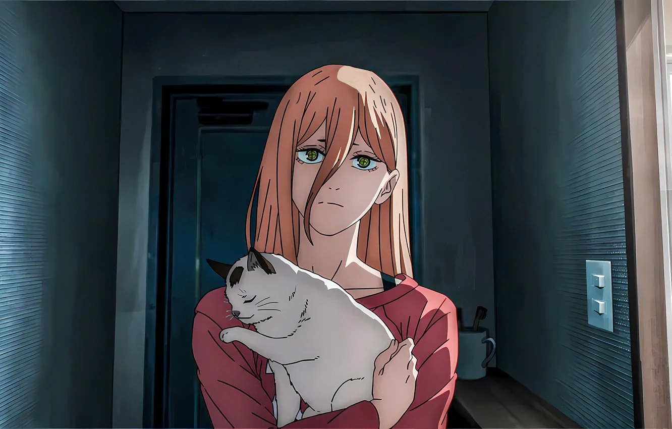 Photo wallpaper cat, girl, Wallpaper, art, Kote, Power, chainsaw man, Dear Chan