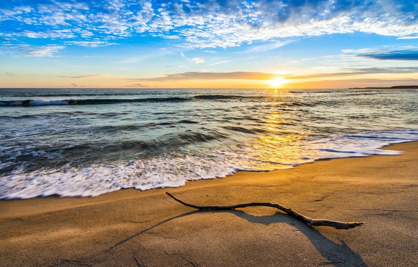 Photo wallpaper sand, sea, wave, the sky, clouds, landscape, branches