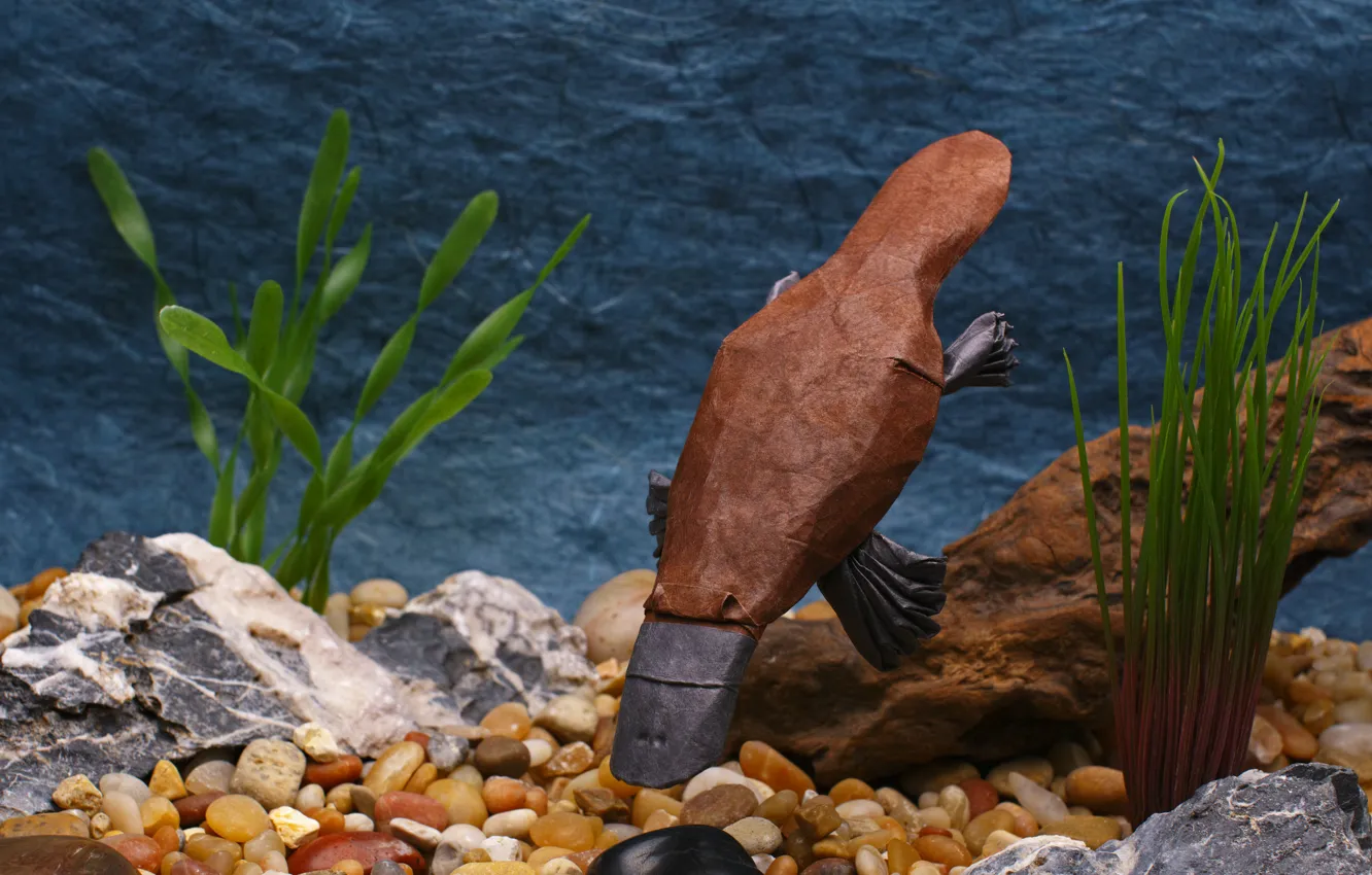 Photo wallpaper paper, origami, the platypus, Platypus