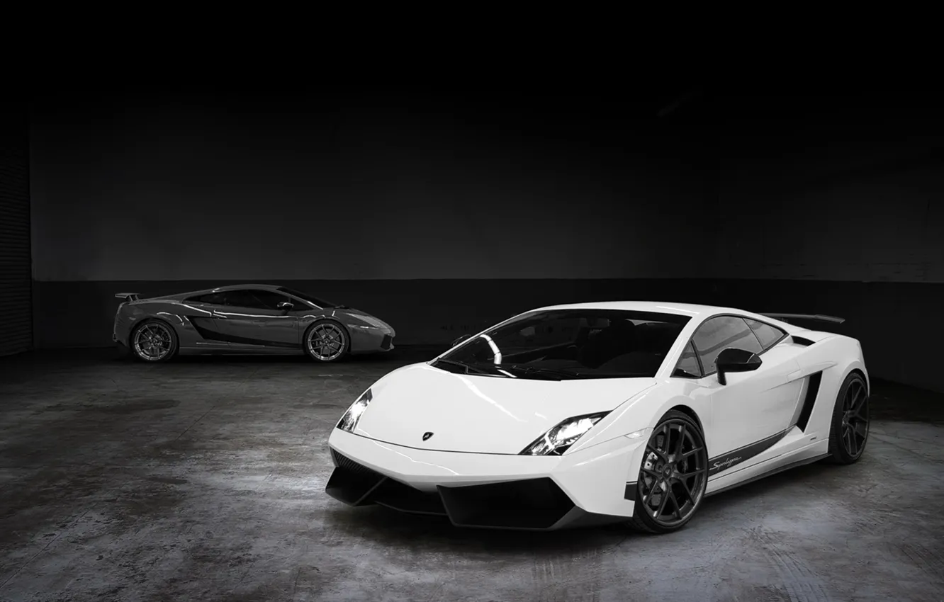 Photo wallpaper white, grey, background, tuning, Lamborghini, supercar, Gallardo, twilight