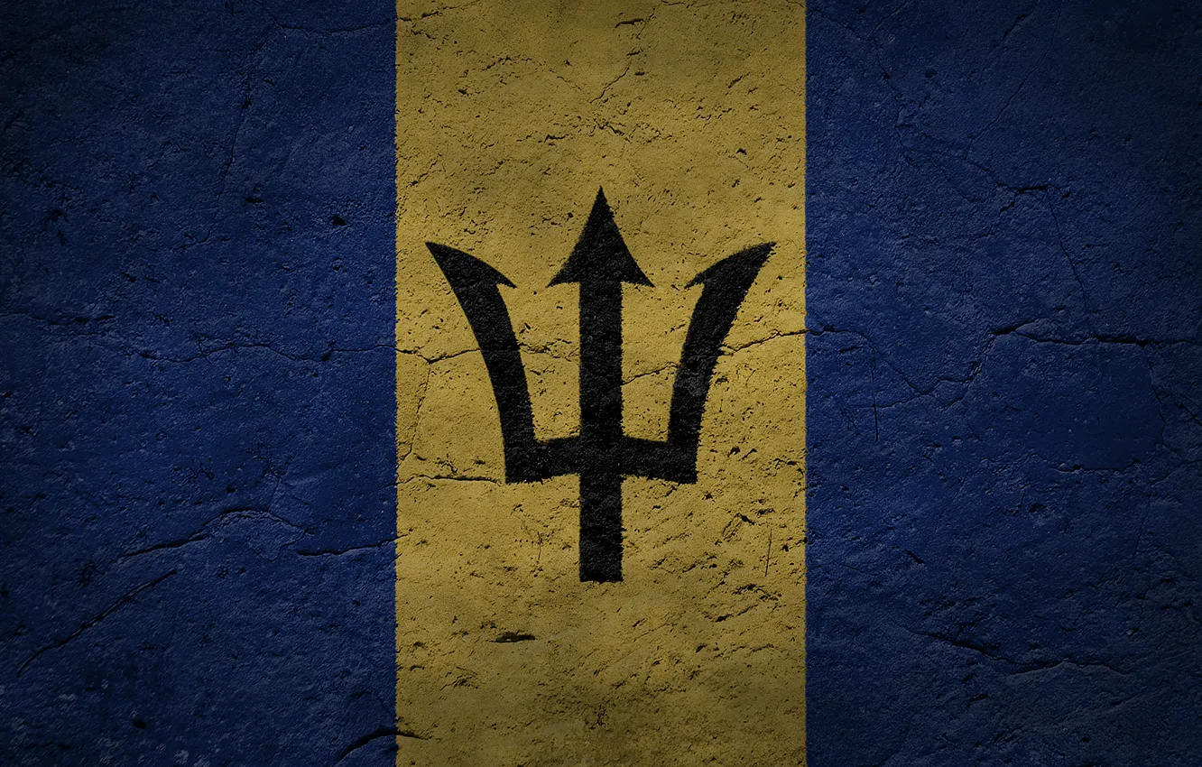 Photo wallpaper texture, flag, Barbados, Barbados