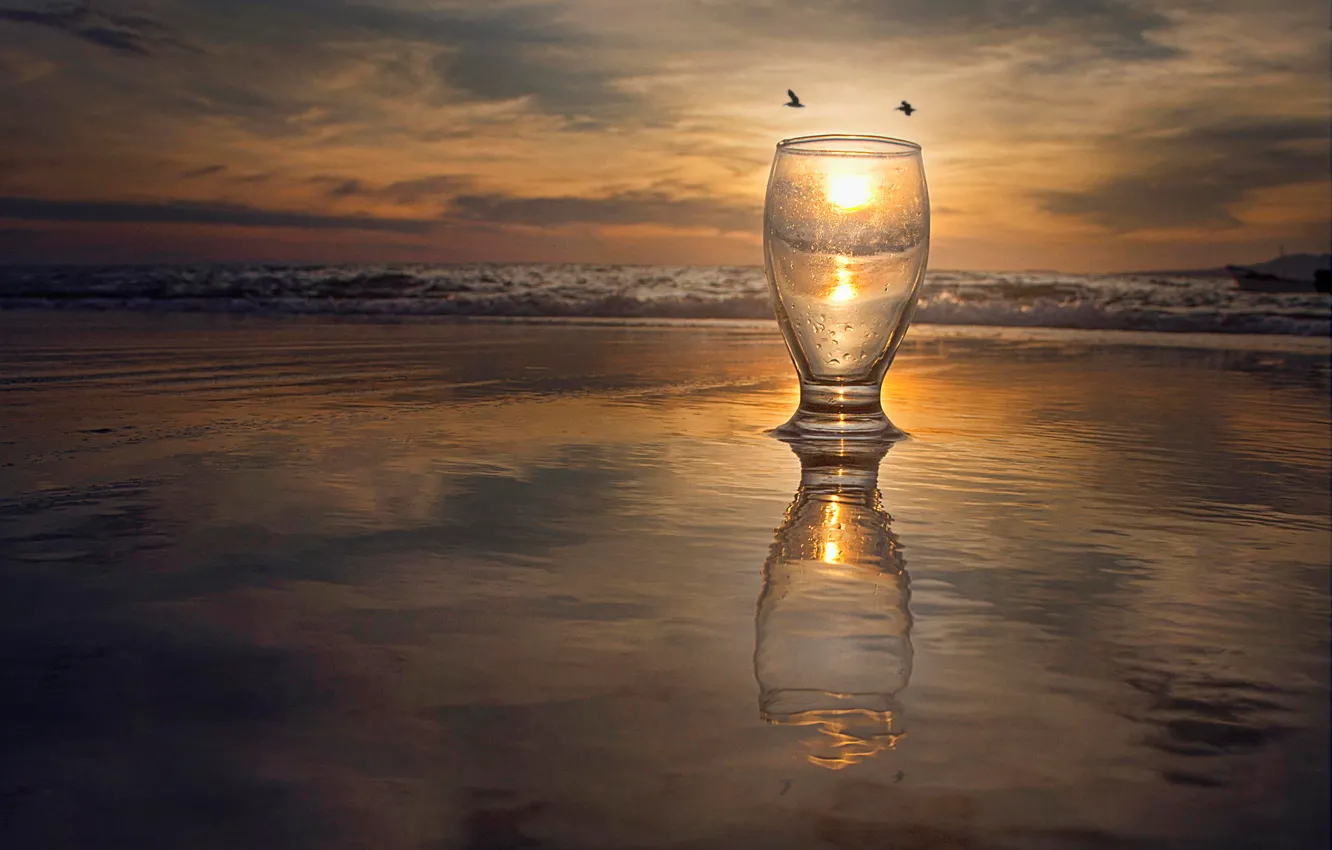Photo wallpaper sea, the sun, birds, glass, reflection, surf