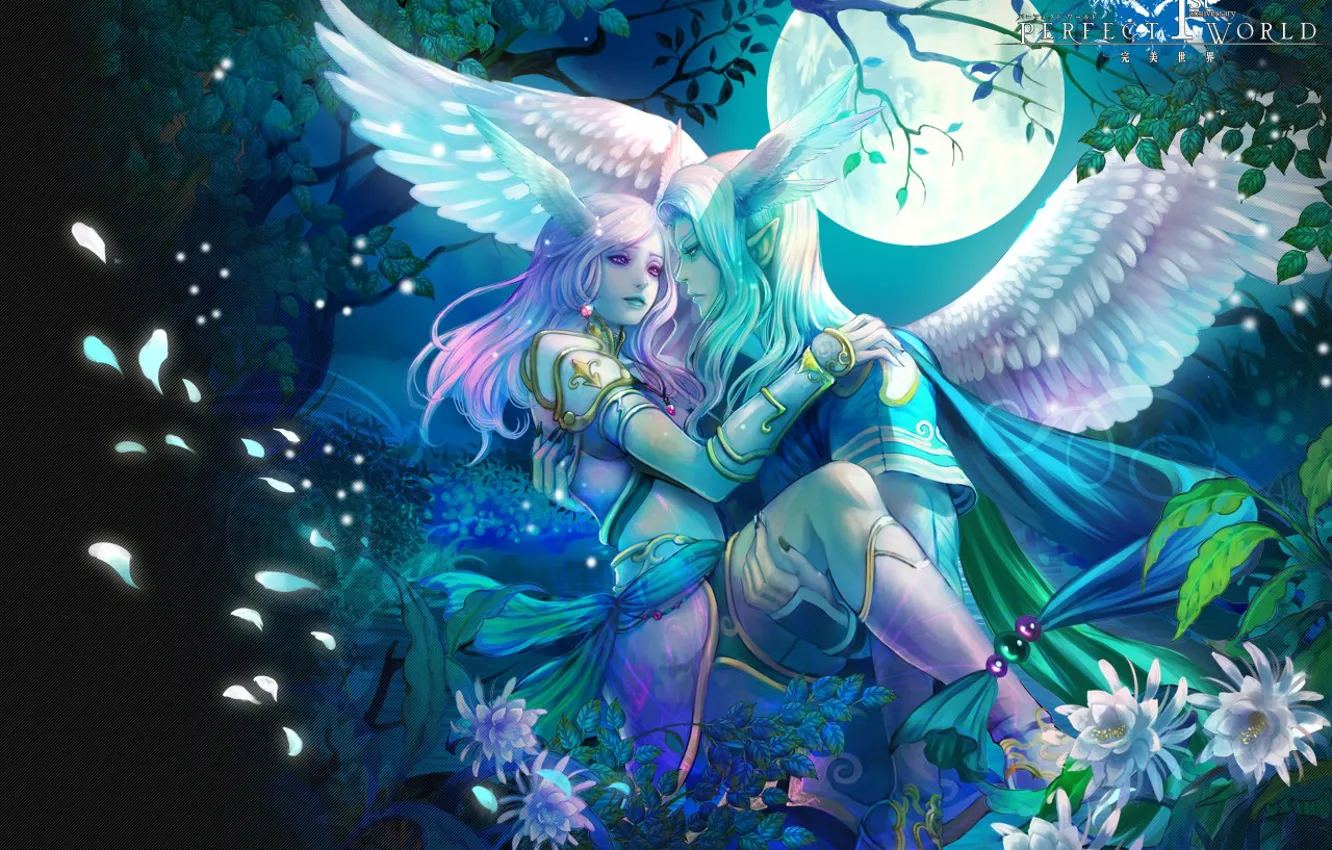 Photo wallpaper night, wings, elves, perfect world