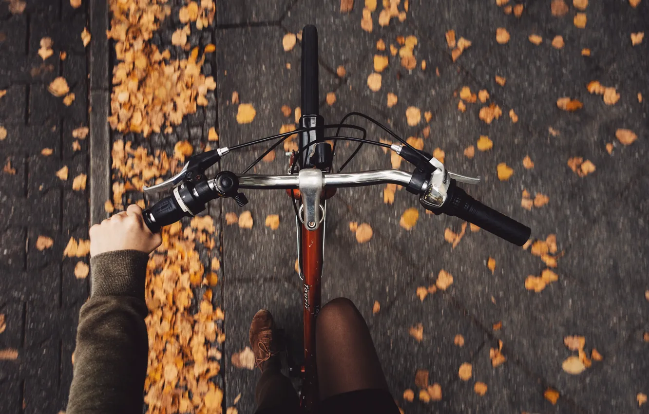 Photo wallpaper autumn, girl, bike, pavers, Rona Keller