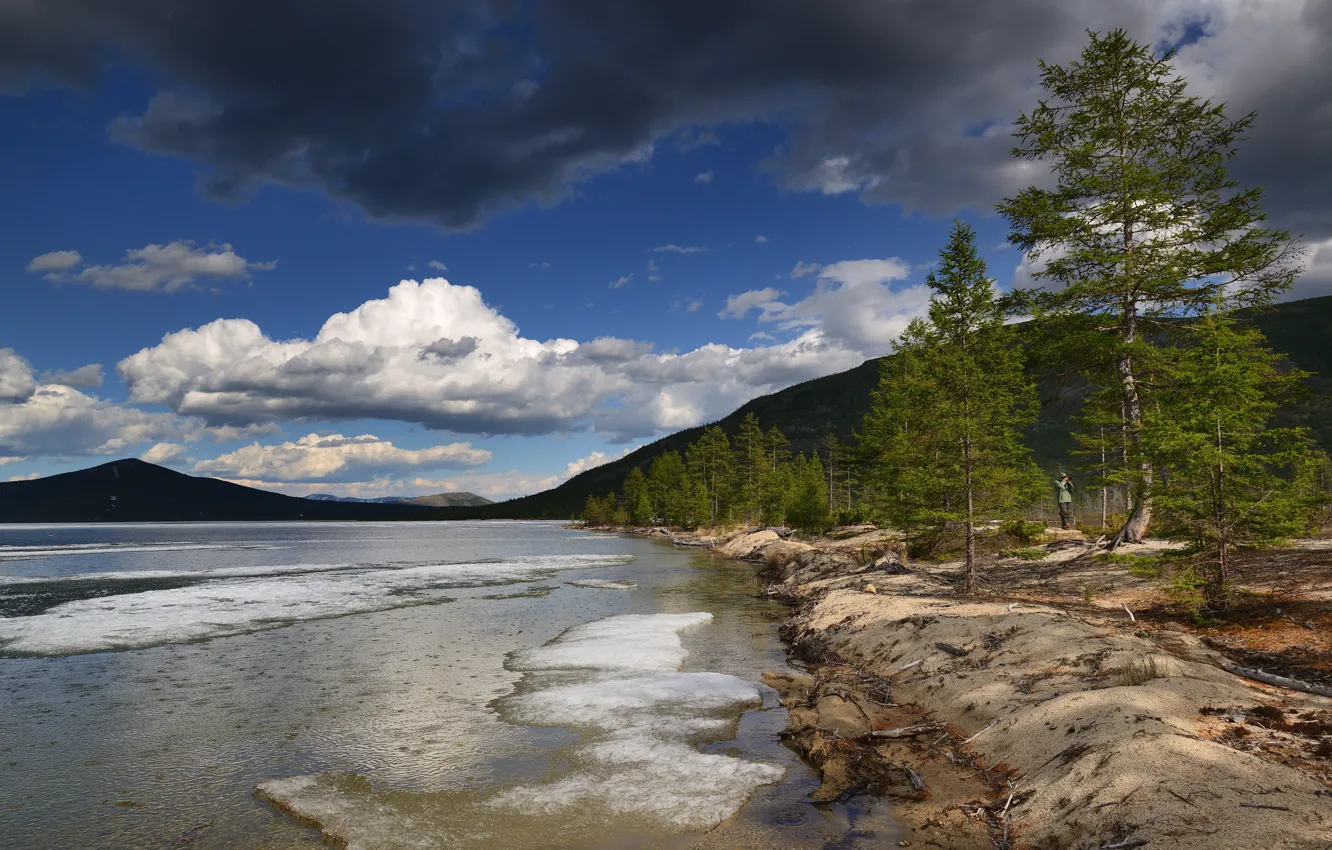 Photo wallpaper forest, the sky, clouds, trees, mountains, blue, hills, shore