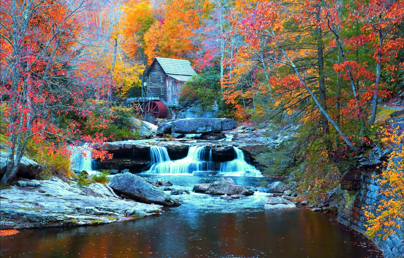 Photo wallpaper autumn, forest, trees, stones, waterfall, house, USA, river