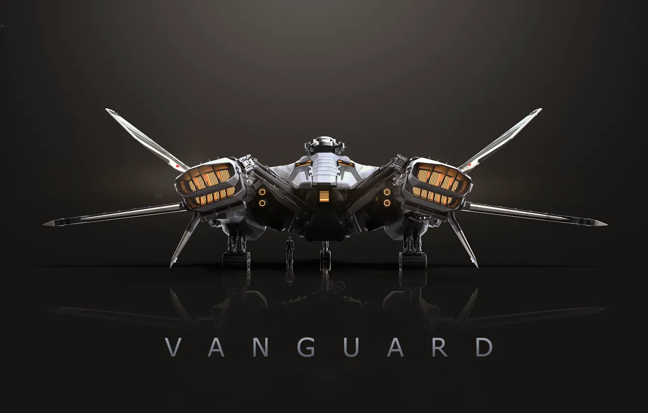 Photo wallpaper Star Citizen, space ship, Vanguard