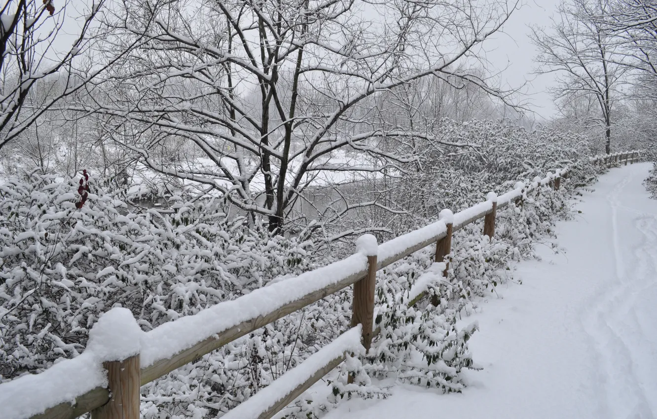 Photo wallpaper winter, road, snow, the snow, road, winter, snow, frost