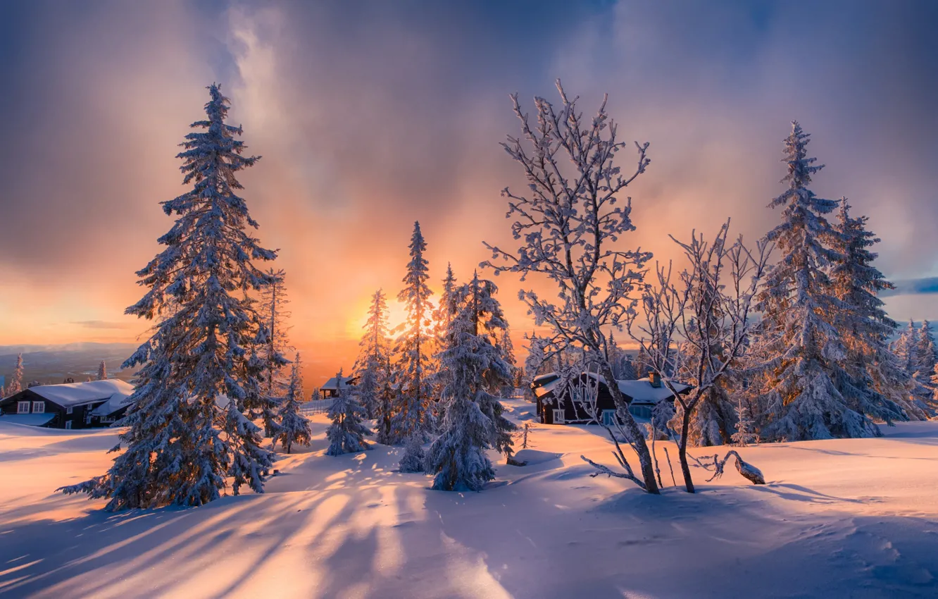Photo wallpaper winter, light, snow, trees, home, North