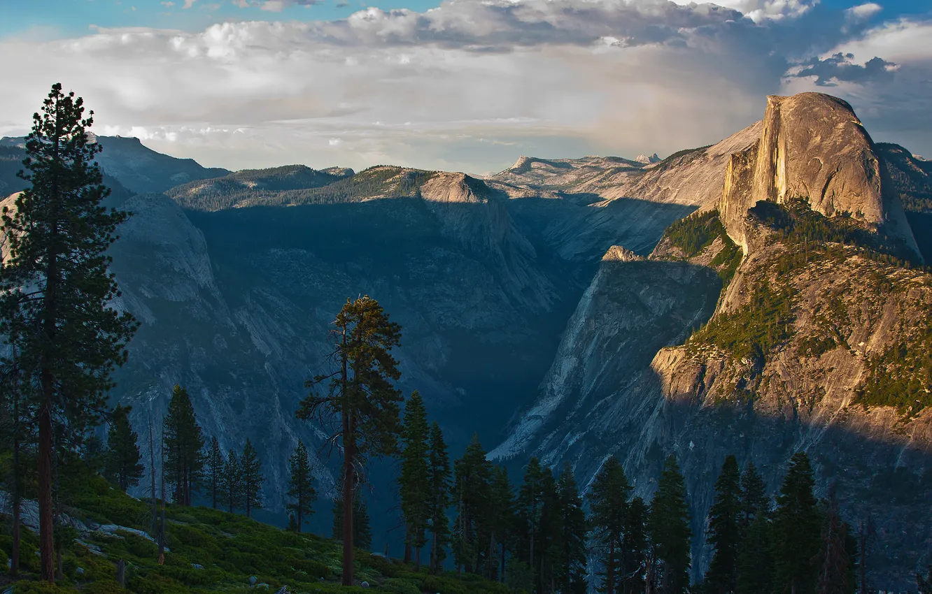 Photo wallpaper forest, mountains, view, height, valley, CA, California, Yosemite national Park
