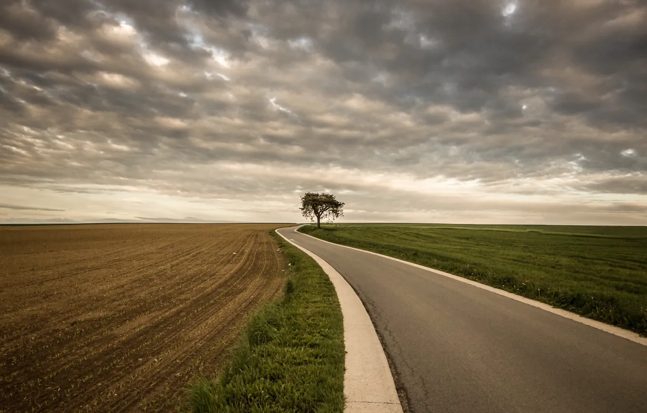 Photo wallpaper road, sky, tree, color, Ciel, arbre, Route