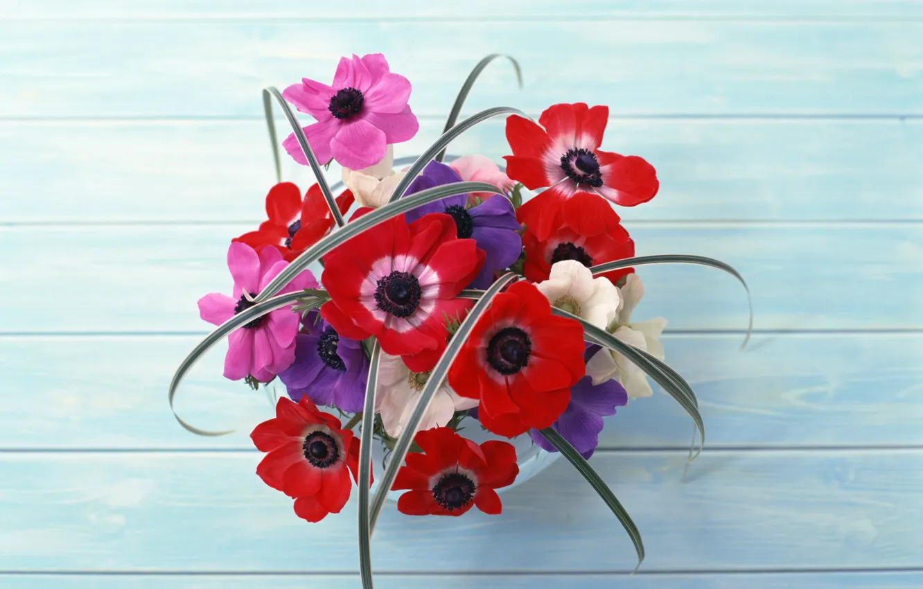 Photo wallpaper flowers, red, table, bouquet, flowers, beauty, composition