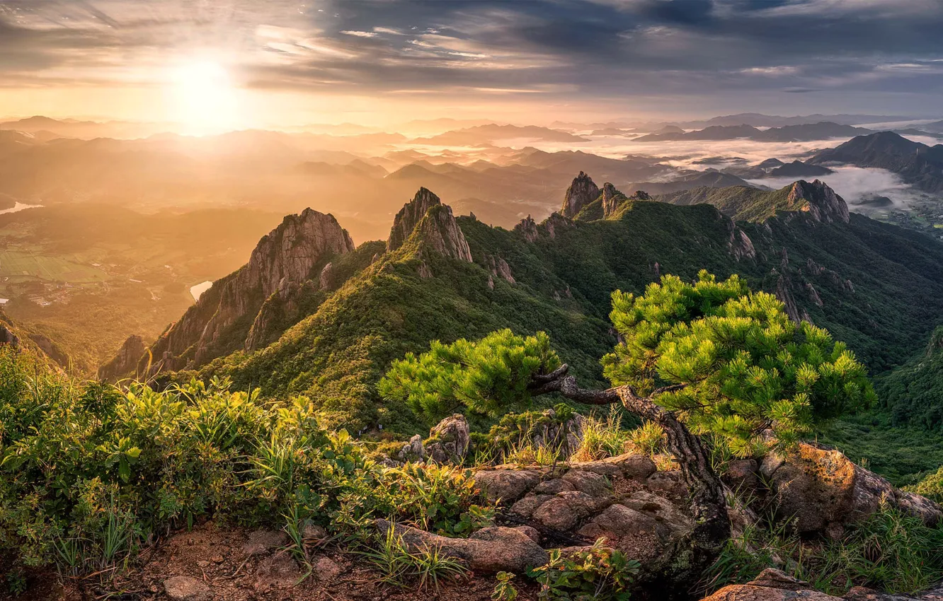 Photo wallpaper the sky, the sun, clouds, light, mountains, stones, tree, rocks