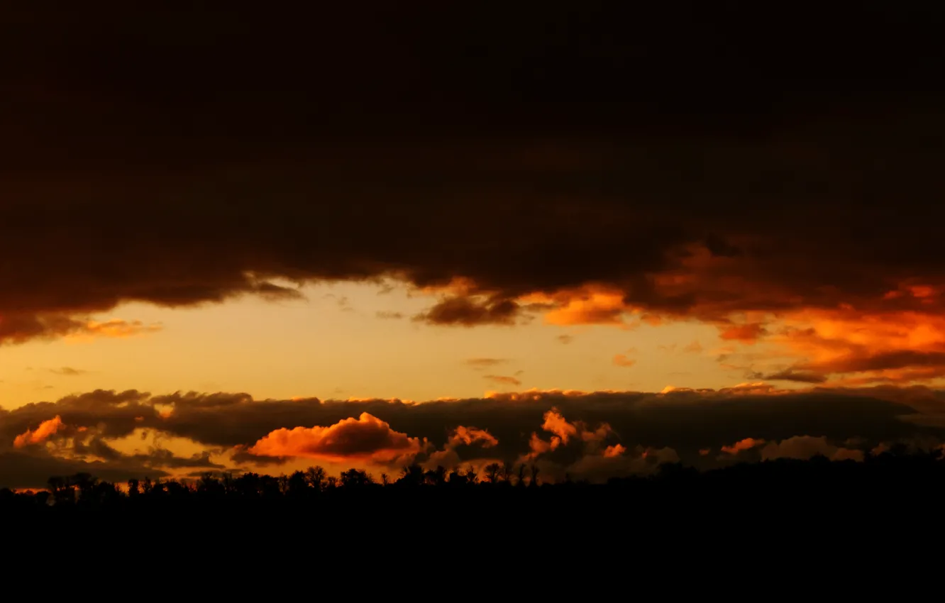 Photo wallpaper the sky, trees, sunset, clouds, mood, darkness, silhouette, form
