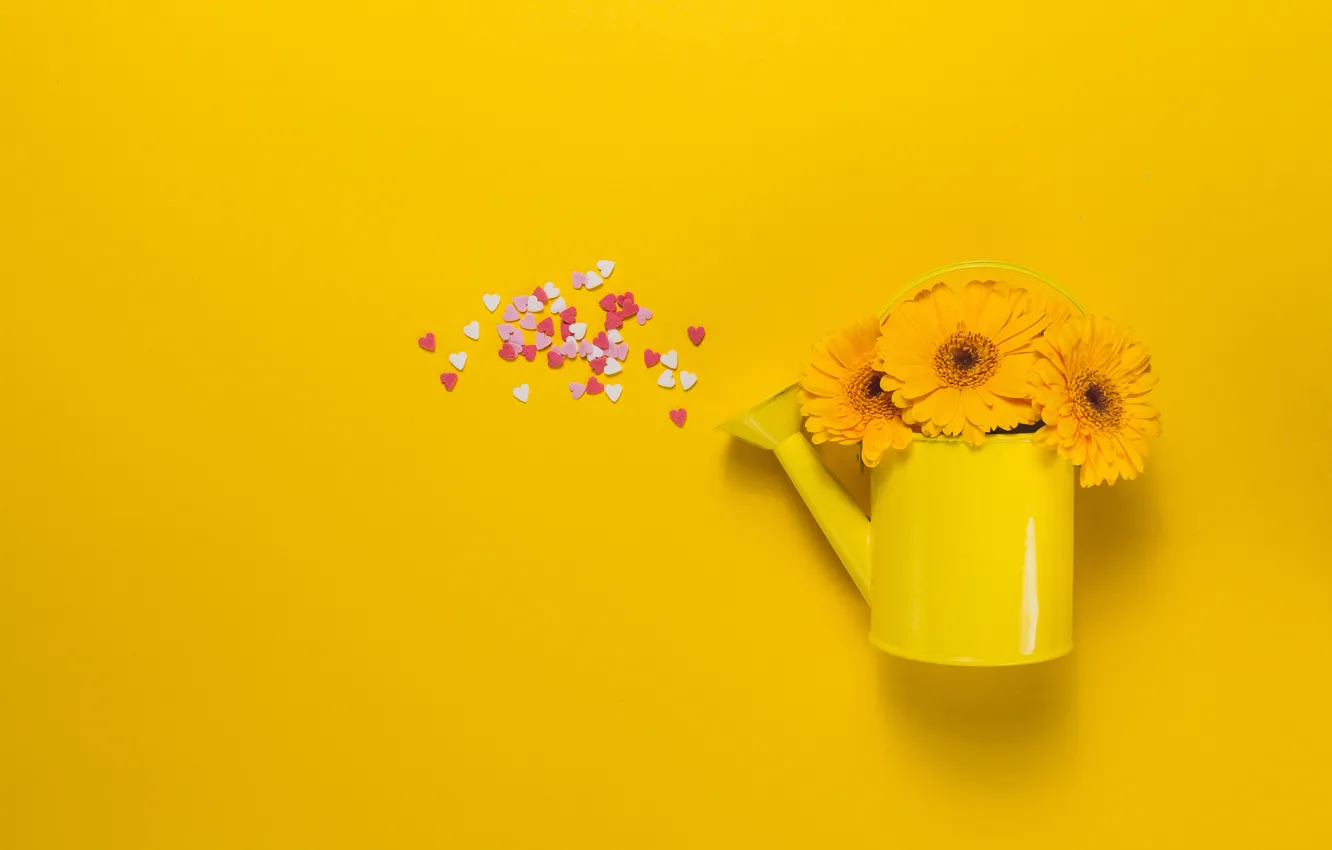 Photo wallpaper flowers, yellow, bouquet, hearts, lake, gerbera, Valeria Maksakova