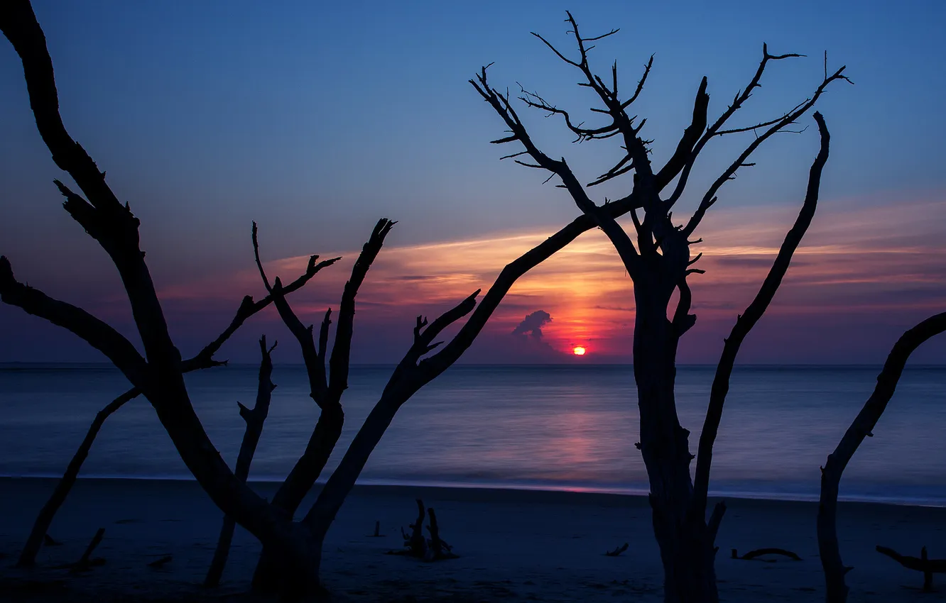 Photo wallpaper sea, landscape, night