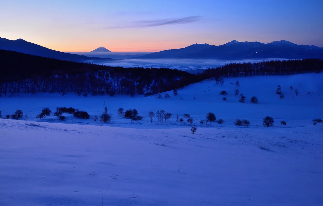 Photo wallpaper winter, landscape, night