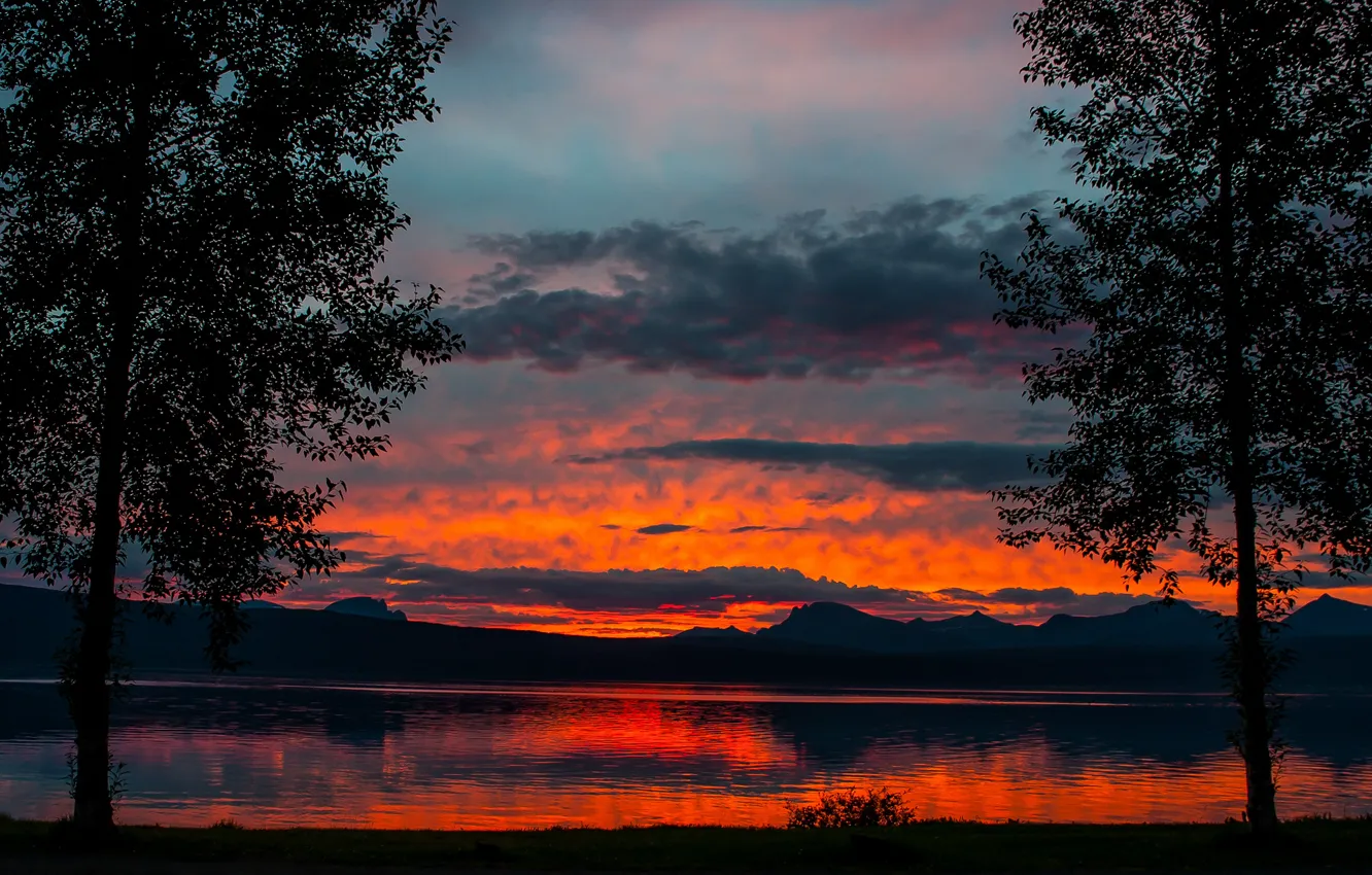 Photo wallpaper trees, sunset, mountains, lake, twilight
