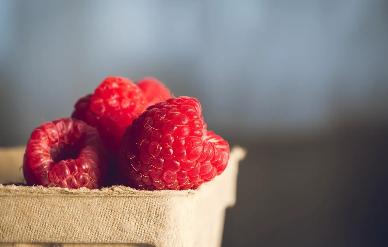 Photo wallpaper macro, berries, raspberry