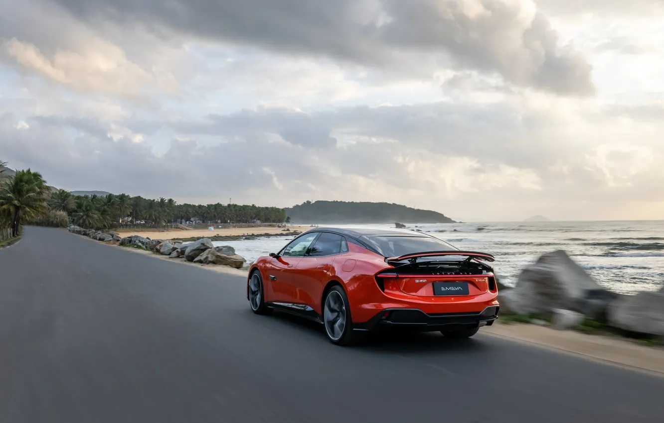 Photo wallpaper Lotus, 2024, Emeya, Lotus Emeya R+