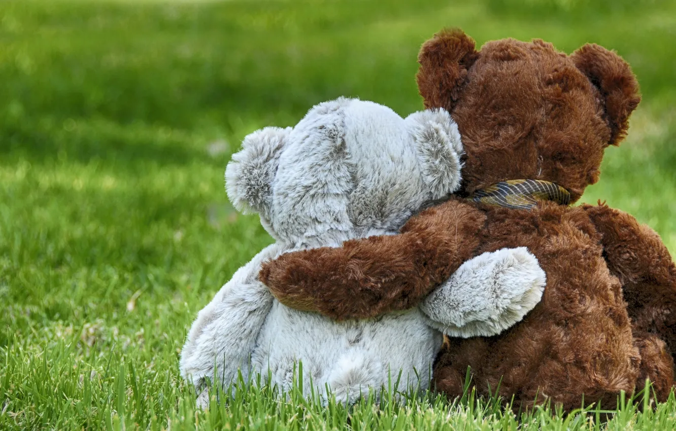 Photo wallpaper love, each, bear, pair, love, Teddy, romantic, couple