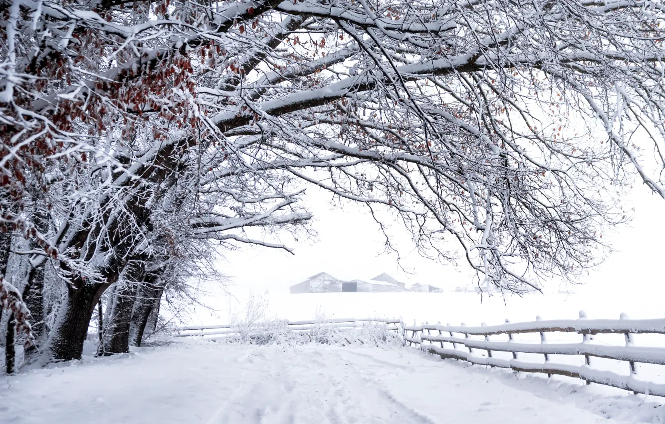 Photo wallpaper winter, snow, the fence