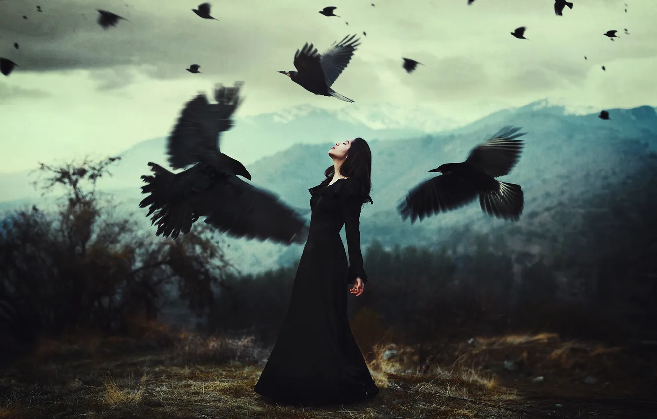 Photo wallpaper girl, clouds, mountains, hair, crows, black dress, neck