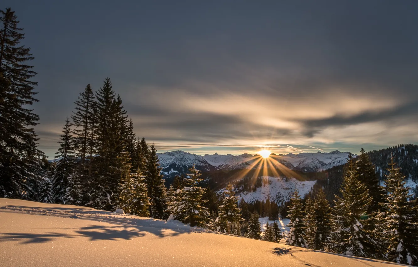 Photo wallpaper winter, light, snow, trees, sunset, mountains