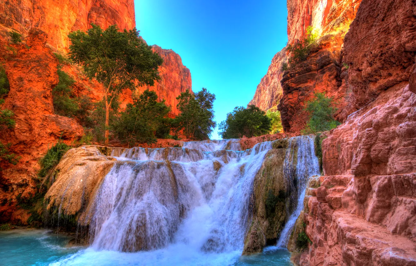 Photo wallpaper rocks, waterfall, hdr, canyon, USA, the bushes, Arizona, Grand Canyon National Park