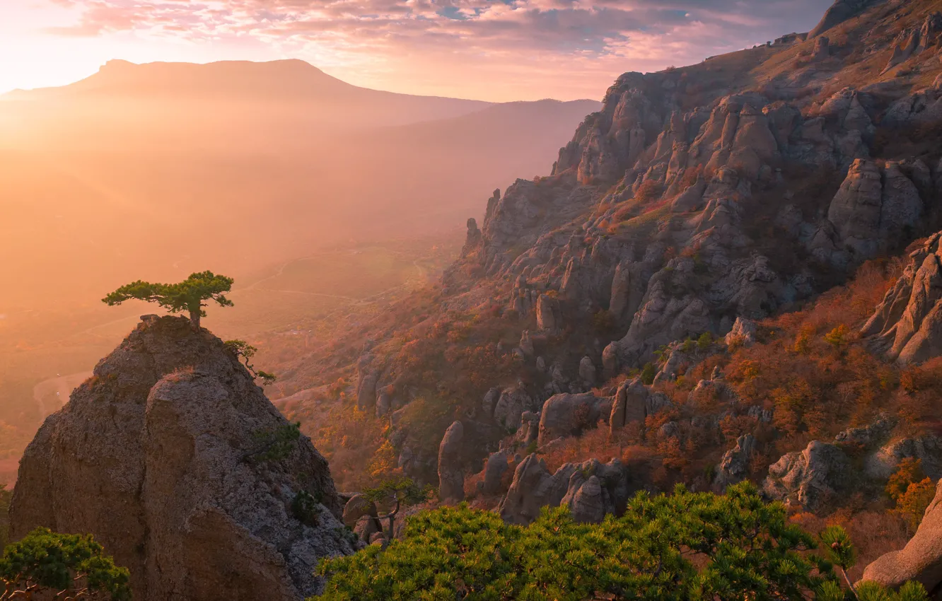 Photo wallpaper trees, landscape, sunset, mountains, nature, rocks, pine, Svetlov Sergey