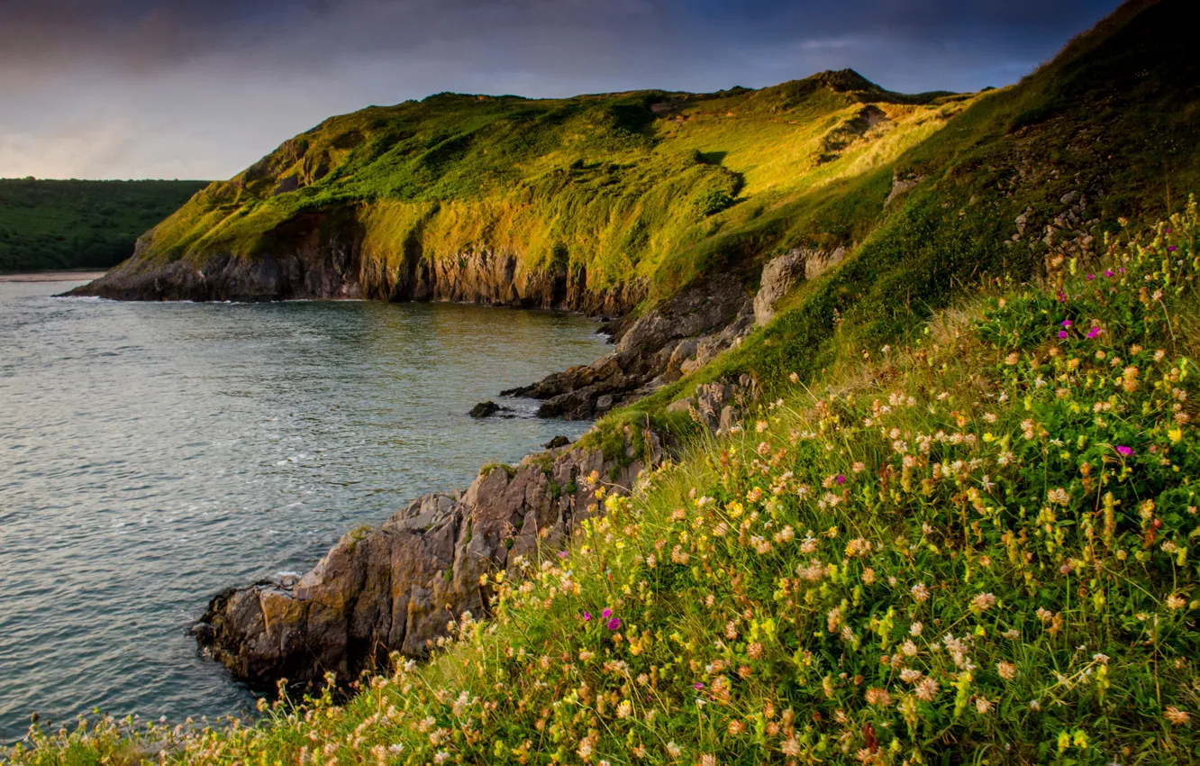 Photo wallpaper sea, flowers, stones, rocks, shore, UK, Three Cliffs Bay, Gower Peninsula