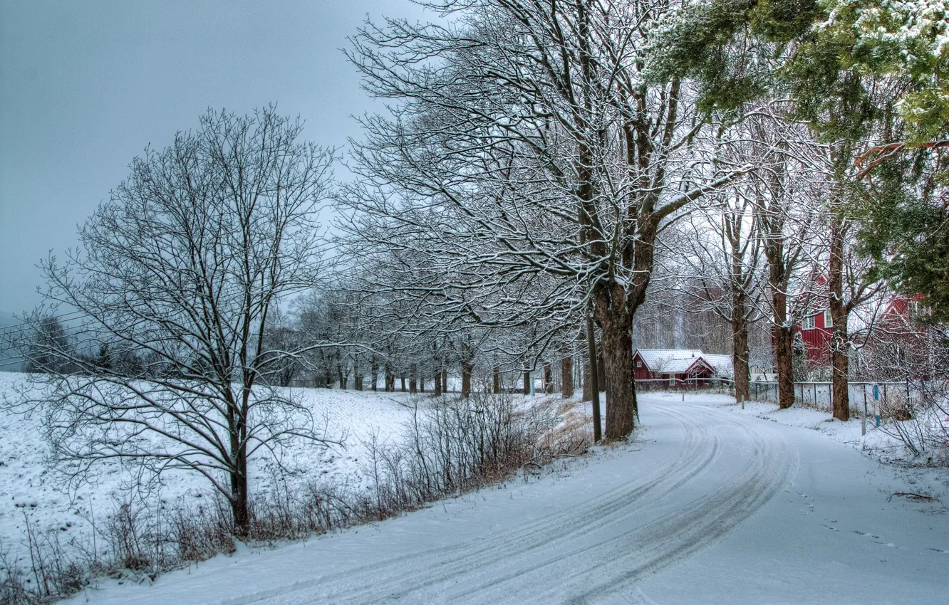 Photo wallpaper winter, road, snow, trees, nature, photo