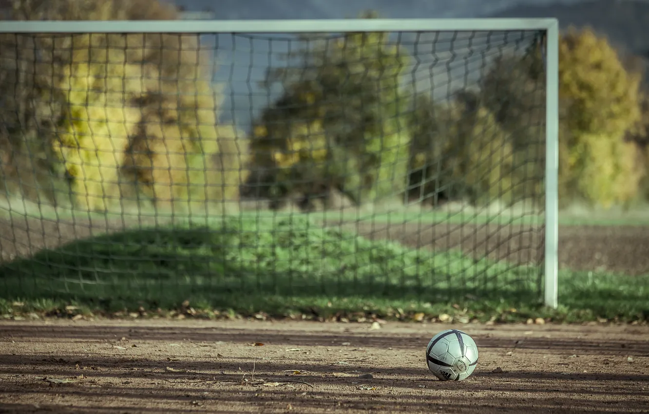 Photo wallpaper sport, the ball, gate